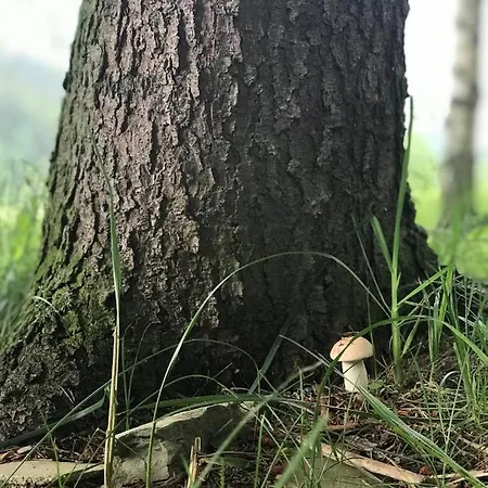 山林小屋 Vrch Varta