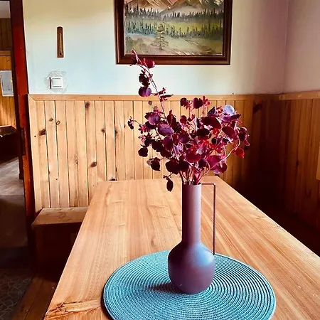 山林小屋 Vrch Varta 鲁容贝罗克