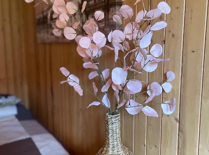 Vrch Varta * Ruzomberok